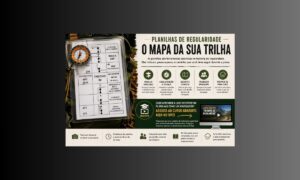 Planilhas